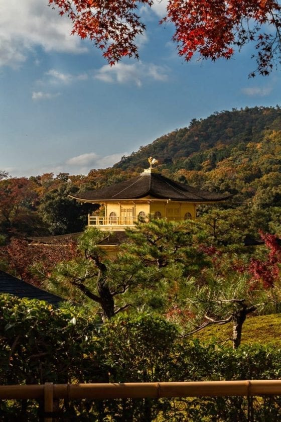 Kinkaku-ji temple surrounded by autumn foliage
