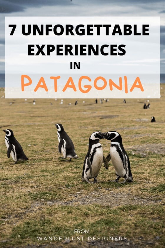 7 lugares imperdibles de la Patagonia: qué hacer en el fin del mundo what to do in Patagonia ¿Qué hacer en la Patagonia? Descubre los mejores planes para que tu viaje a la Patagonia sea inolvidable