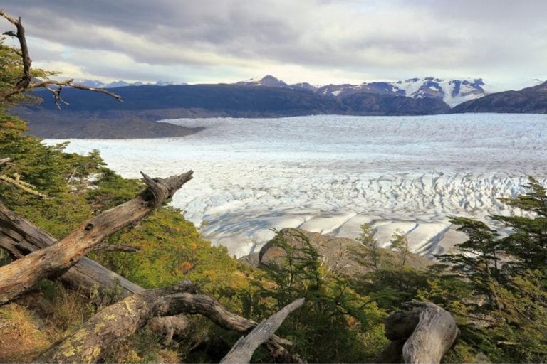 Wanderlust Designers — travel guides that watch the budget glaciar grey Glacier Grey on the W trek