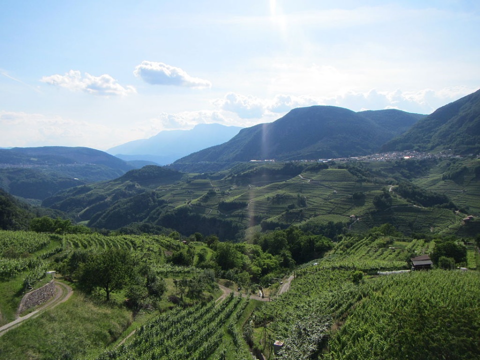 Ausflüge von Venedig – Die schönsten Tagestrips & Orte in der Umgebung Val di Cembra Cembra vista da Sevignano 1 Blick auf ein Tal im Val di Cembra, Italien