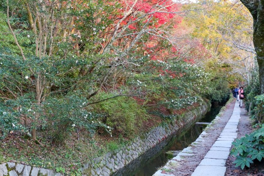 ¿Cuánto cuesta viajar a Japón? Nuestro presupuesto detallado 2026 philosophers path with autumn foliage in kyoto japan El Camino de la Filosofía con follaje otoñal en Kioto