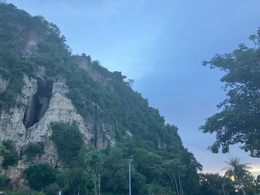 One Day in Battambang: Our Personal Guide Bat Cave Battambang Cambodia Bat Cave Battambang Cambodia