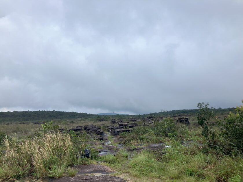 Bokor National Park: Perfect Daytrip from Kampot Bokor National Park Cambodia 1 Bokor National Park _ Cambodia