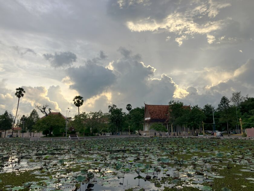 Lotus Pond | Kampot | Cambodia Lotus Pond | Kampot | Cambodia