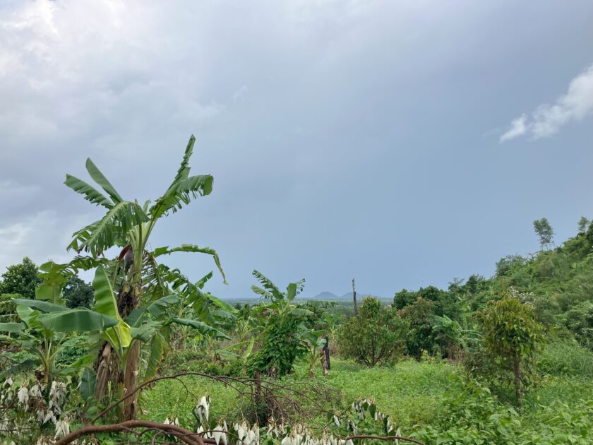 Way to Veal Pouch Waterfall | Kampot | Cambodia Way to Veal Pouch Waterfall Kampot Cambodia