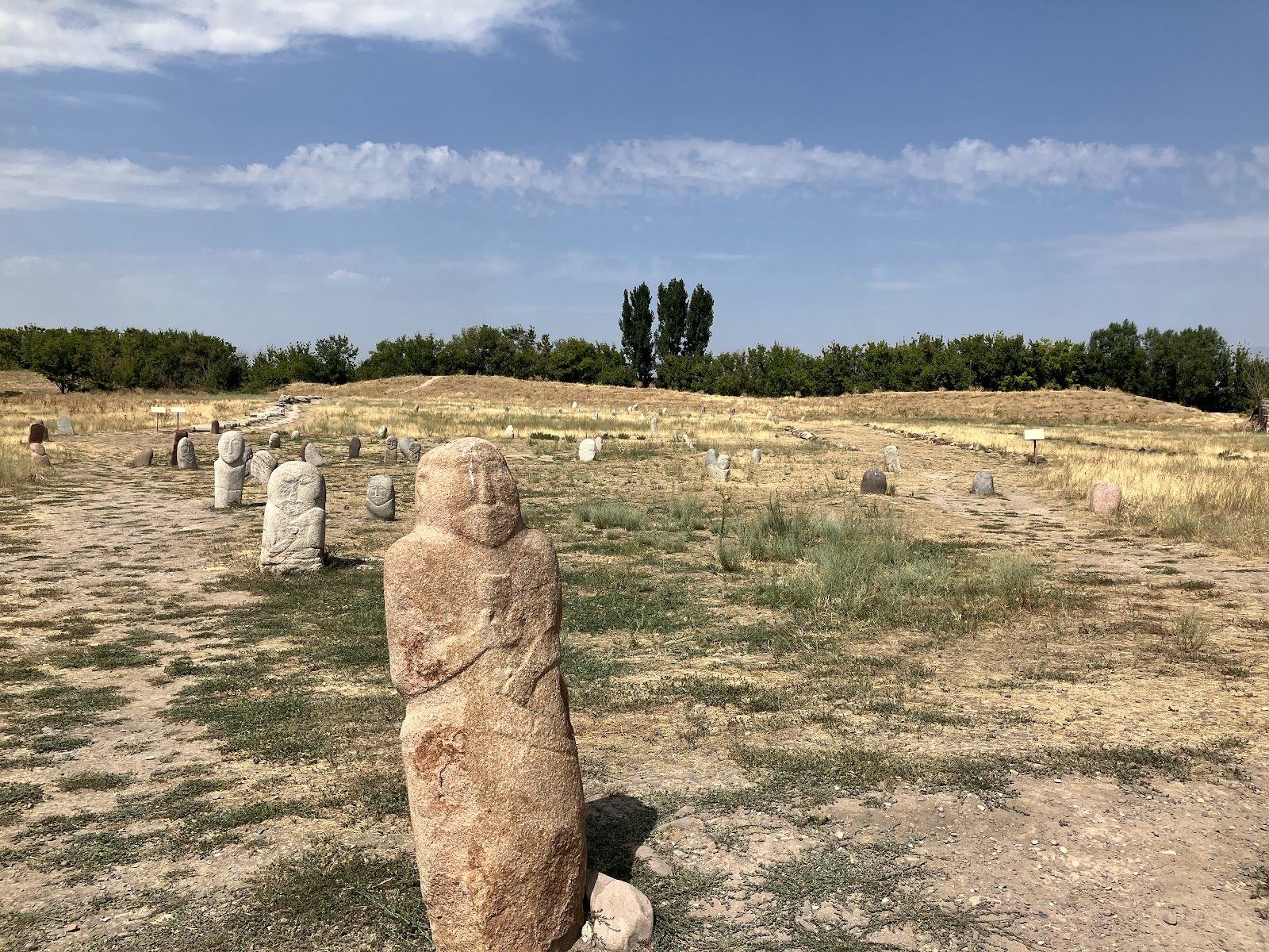 Excursión de un día desde Bishkek a la Torre Burana es hk img 73531 44 Campo de balbales junto a la Torre Burana | Lápidas turcas en Kirguistán