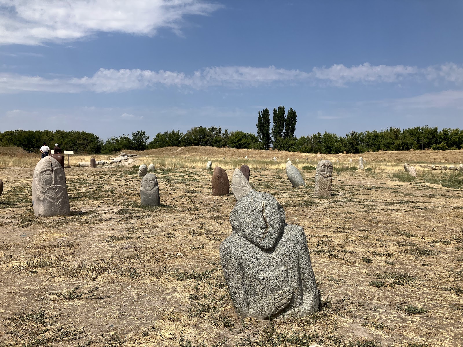 Excursión de un día desde Bishkek a la Torre Burana es hk img 73531 45 Campo de balbales junto a la Torre Burana | Lápidas turcas en Kirguistán