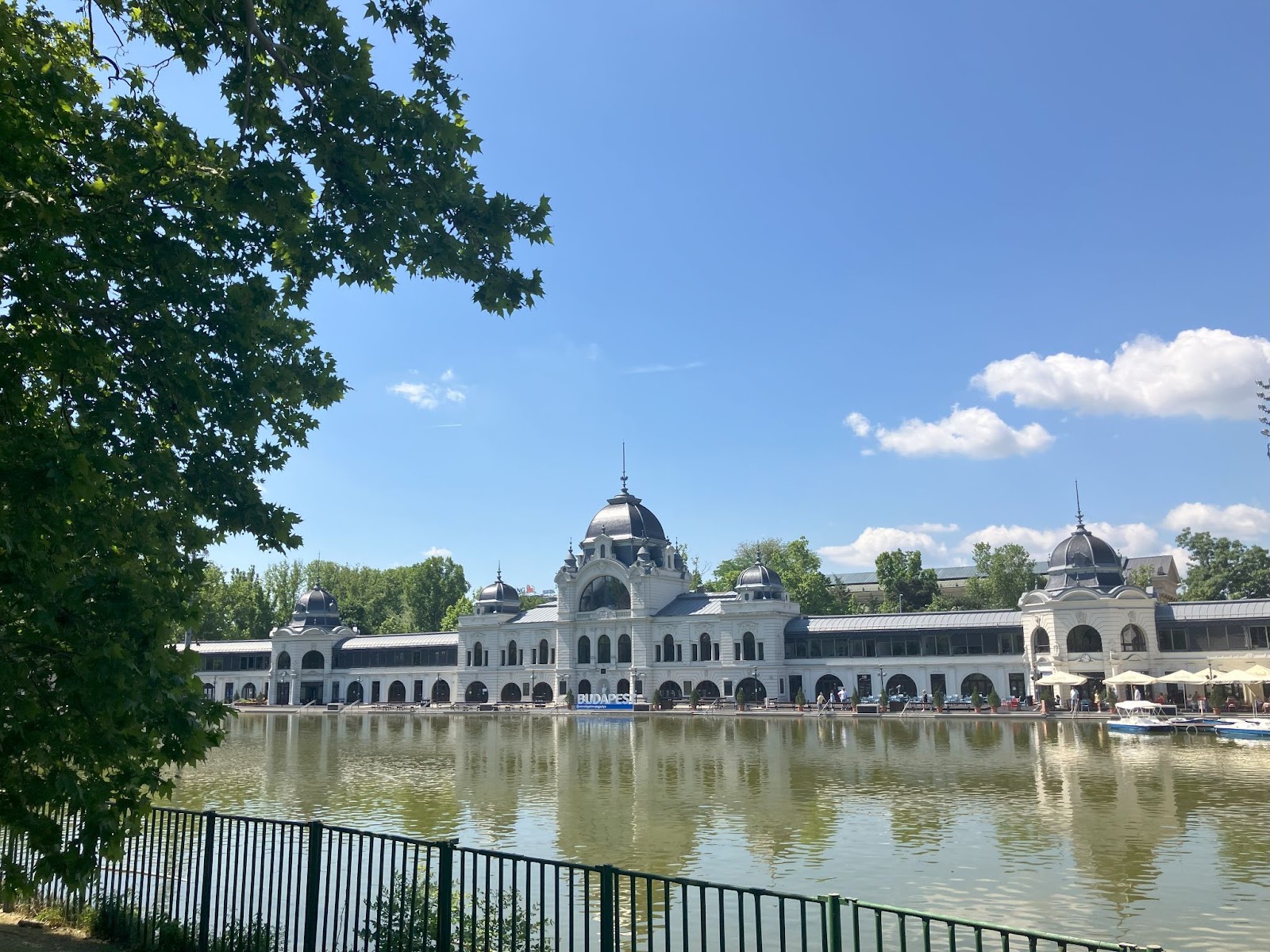 4 días en Budapest: itinerario definitivo de viaje es hu img 73615 64 Lago de patos y pista de hielo del Parque de la Ciudad | Budapest | Hungría
