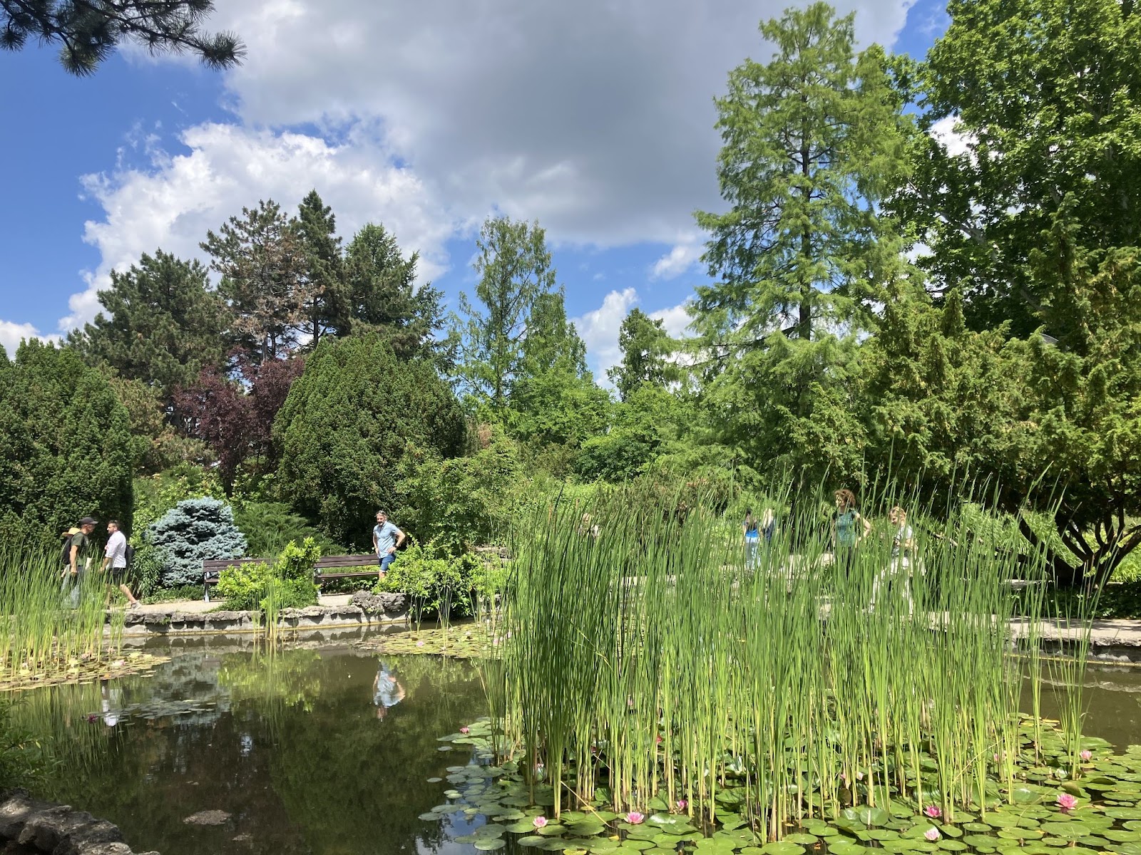 Las 56 mejores cosas que hacer en Budapest es hu img 73623 25 Jardín Japonés, isla Margarita | Budapest | Hungría