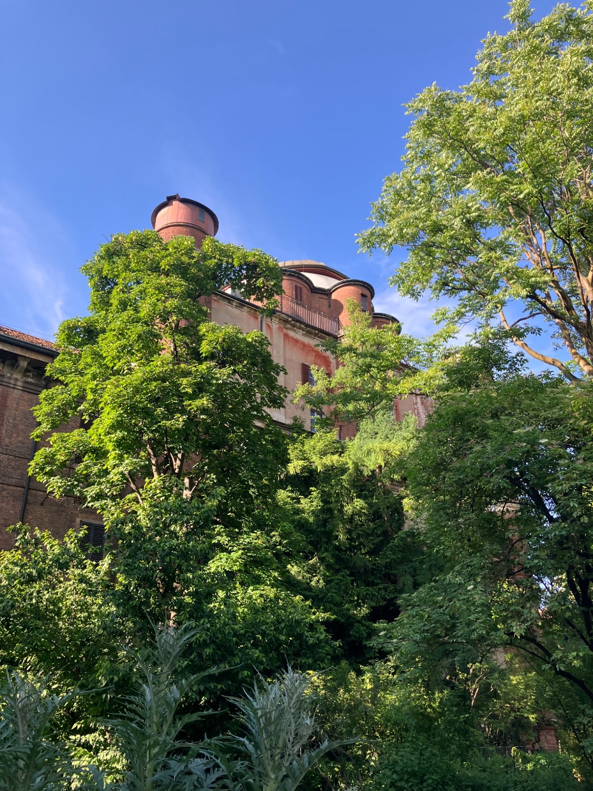 Itinerario de 3 días en Milán: la guía definitiva para tu viaje es img 75823 12 1 Jardín Botánico de Brera (Orto Botanico di Brera) | Milán | Italia